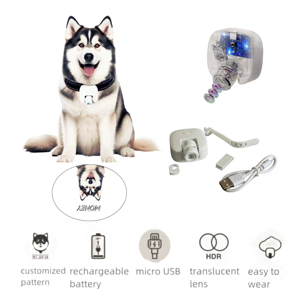 Photographic Projection Social Lamp for Single Pet / Dog Walking Light / Custom Pet Gift