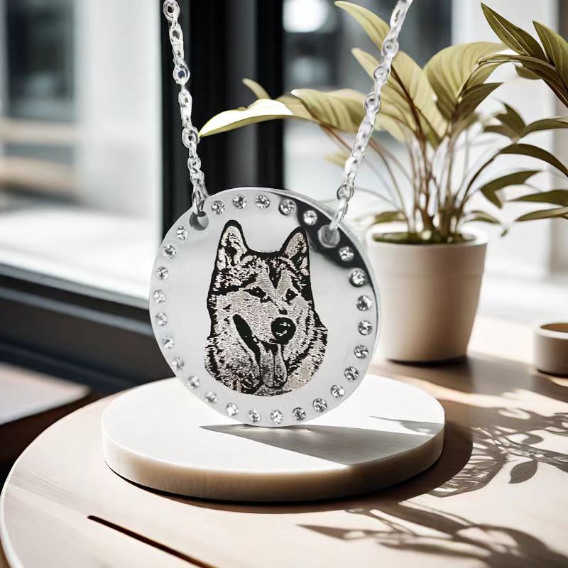 Circle-Shaped Necklace set with diamonds / Custom Pet Necklace /Cat Drawing / Dog Drawing / Personalized Gift / Portrait / Pet Jewelry